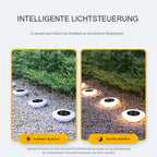 LED Garden Lamp Energy Efficient Outdoor Lighting