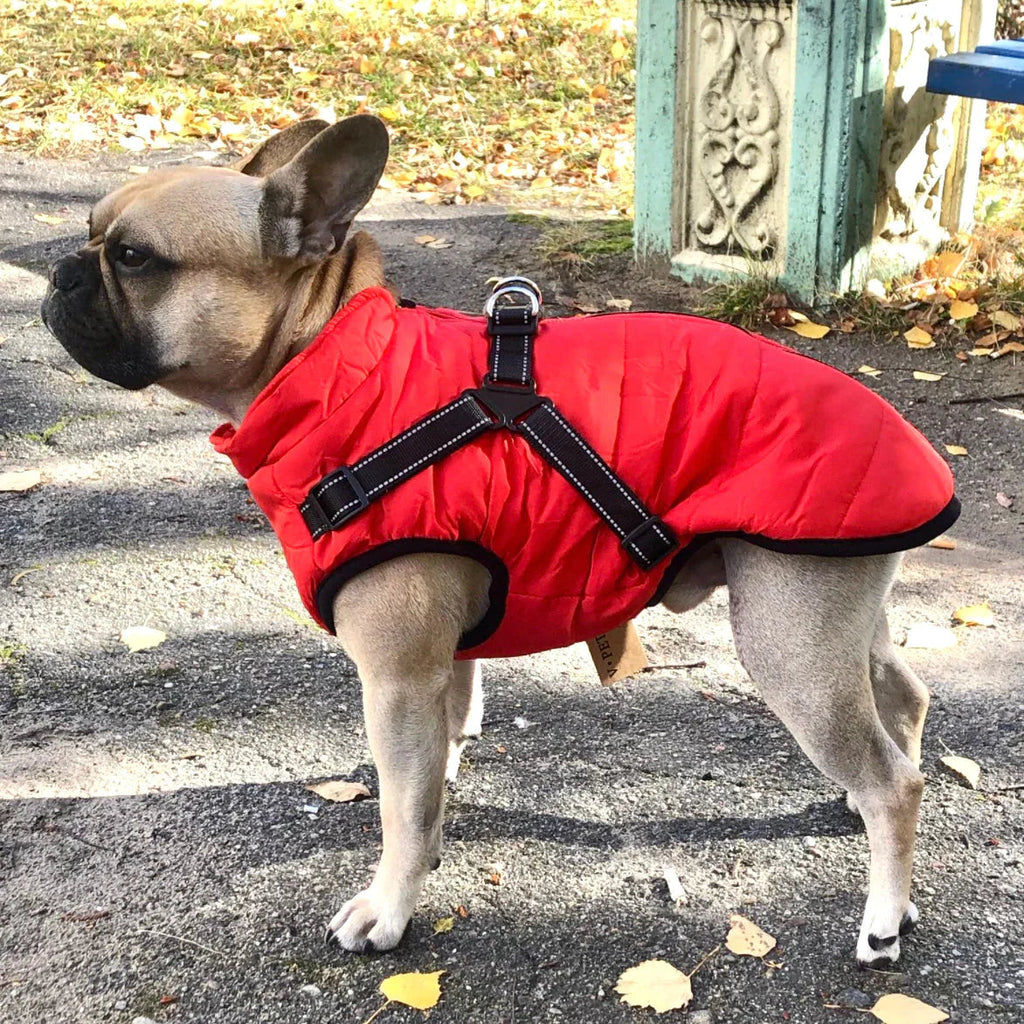 Waterproof Dog Jacket with Built-in Harness – Warm, Weather-resistant Dog Jacket for All Breeds
