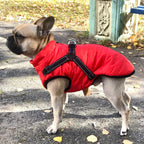 Waterproof Dog Jacket with Built-in Harness – Warm, Weather-resistant Dog Jacket for All Breeds