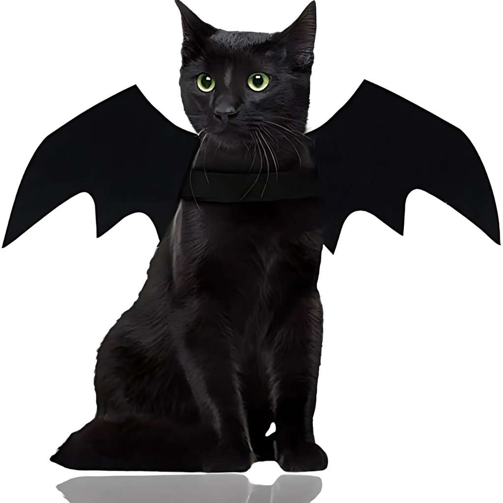 Spooky Halloween Pets Bat Wings