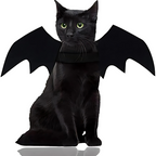 Spooky Halloween Pets Bat Wings