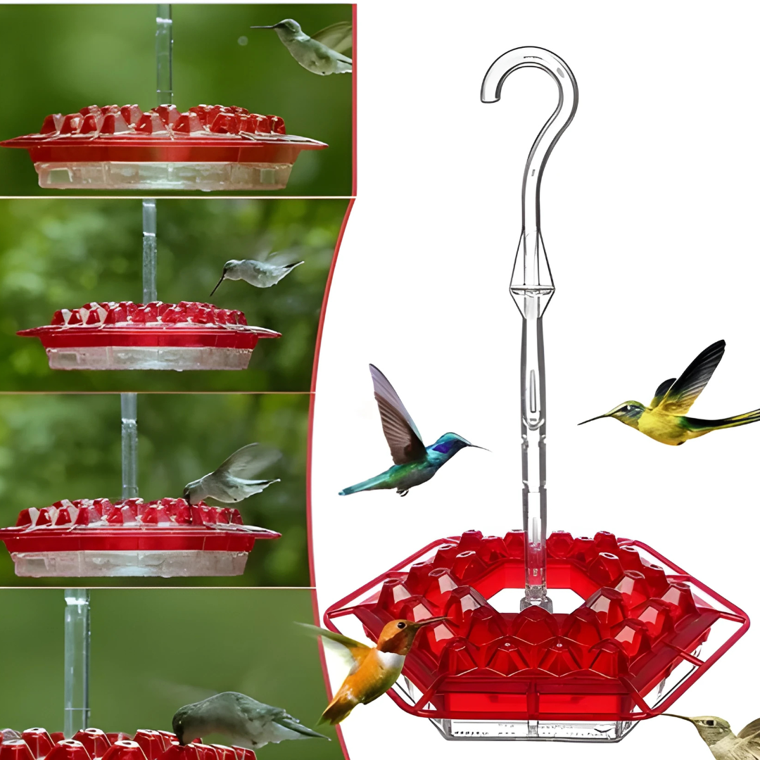 Garden Hanging Hummingbird Feeder