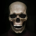 Halloween Realistic Full Head Skull Mask