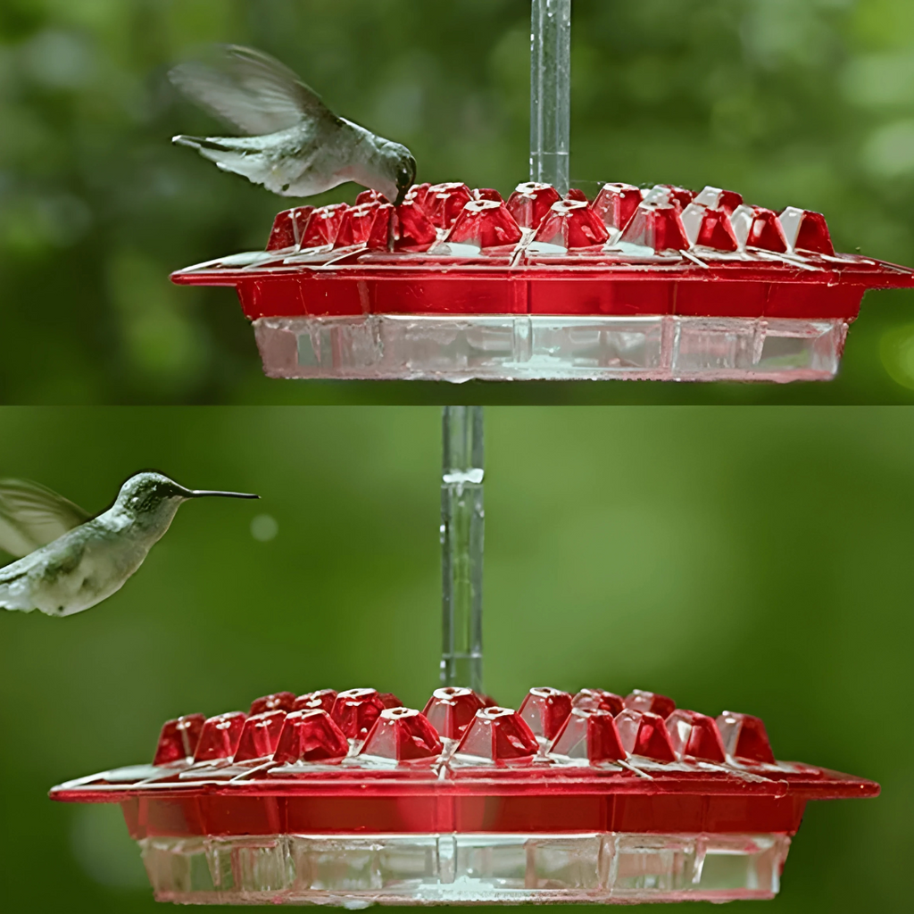 Garden Hanging Hummingbird Feeder