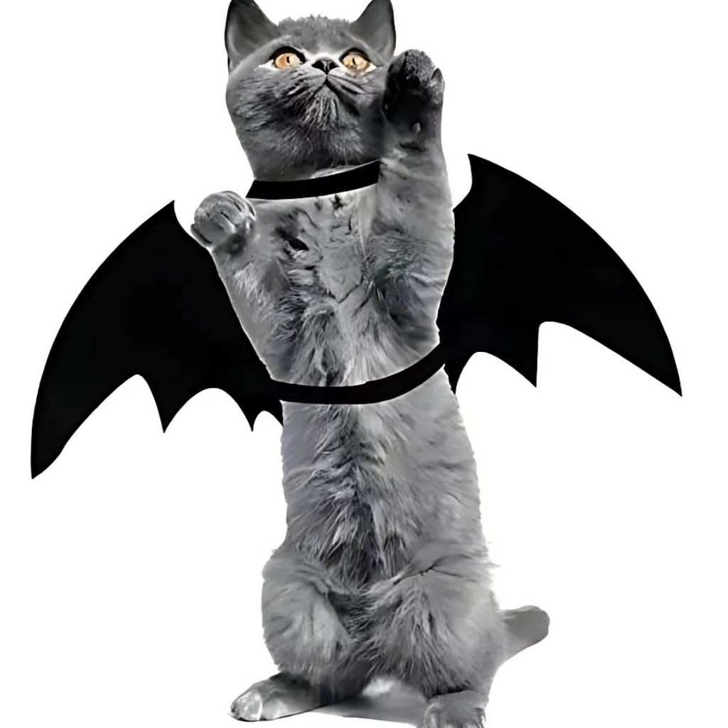 Spooky Halloween Pets Bat Wings