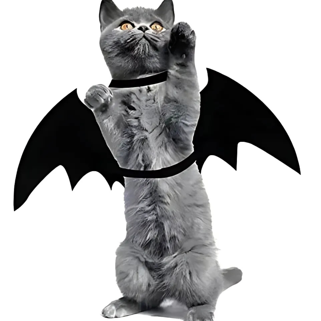 Spooky Halloween Pets Bat Wings