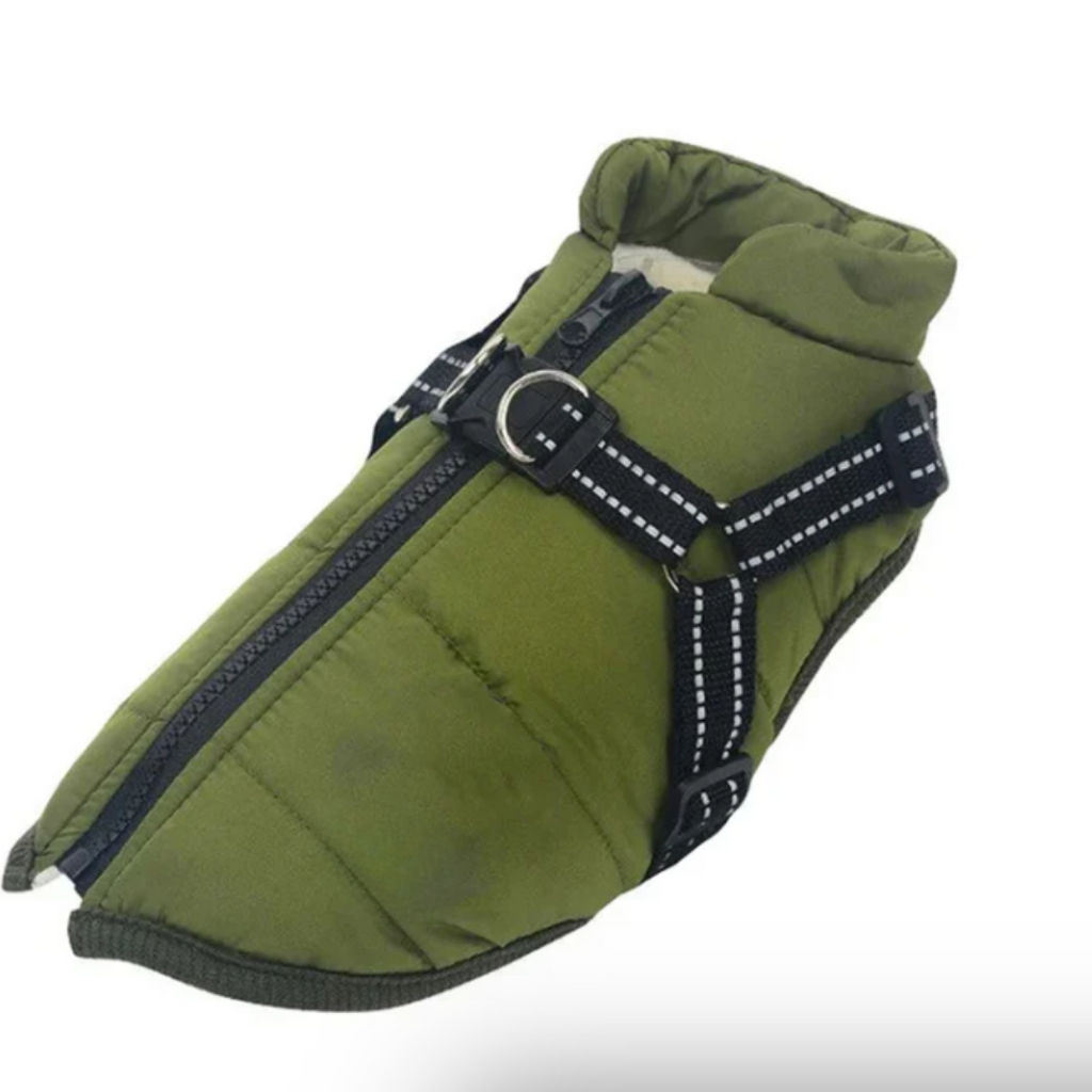 Dog Coat Harness Winter Walks