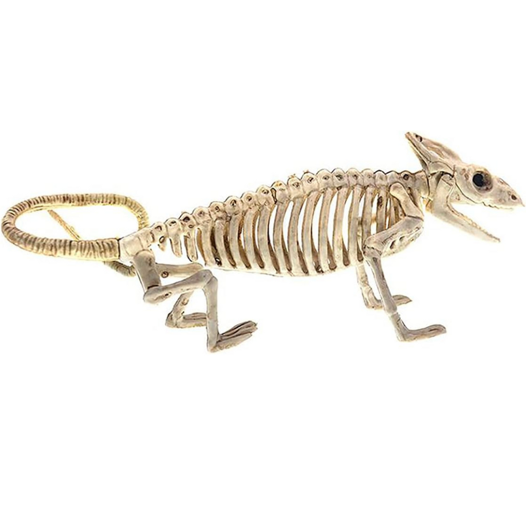Wall Art Hanging Skeleton Bat Ornament