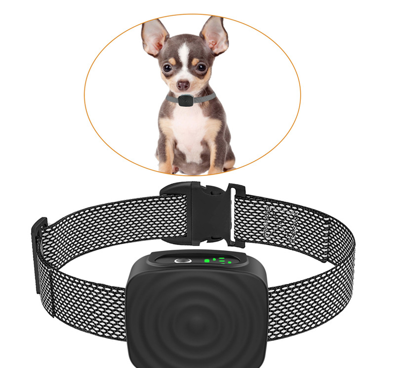 Dog Collar Anti Bark for Small Dogs