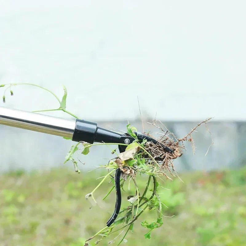 EasyRoot | Free your garden from weeds