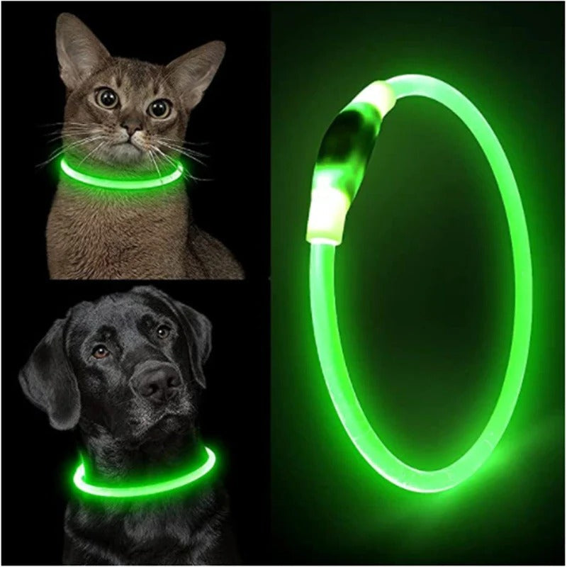 Light Up Dog Collar, USB Rechargeable LED Glowing Collar