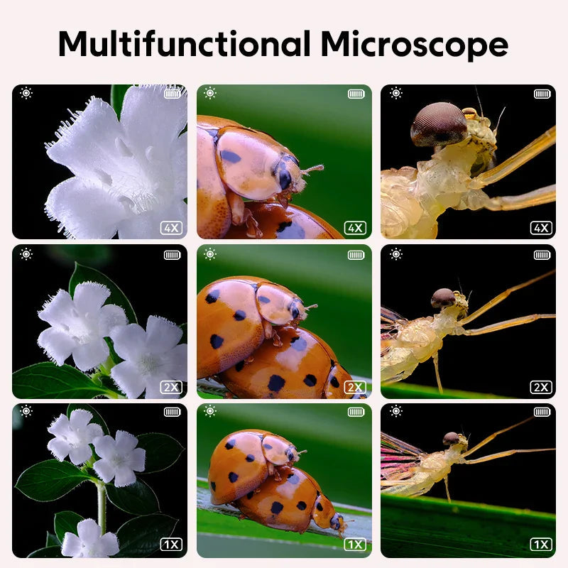Explorer Microscope - Science Up Close