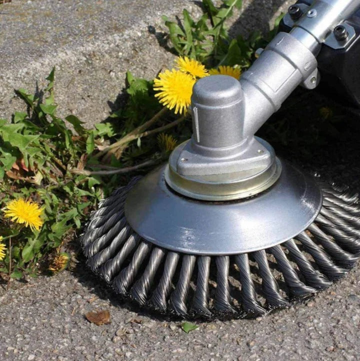 Carbon Steel Weed Brush