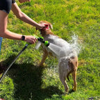 Pet Bath Spray with All-Around Spray Function