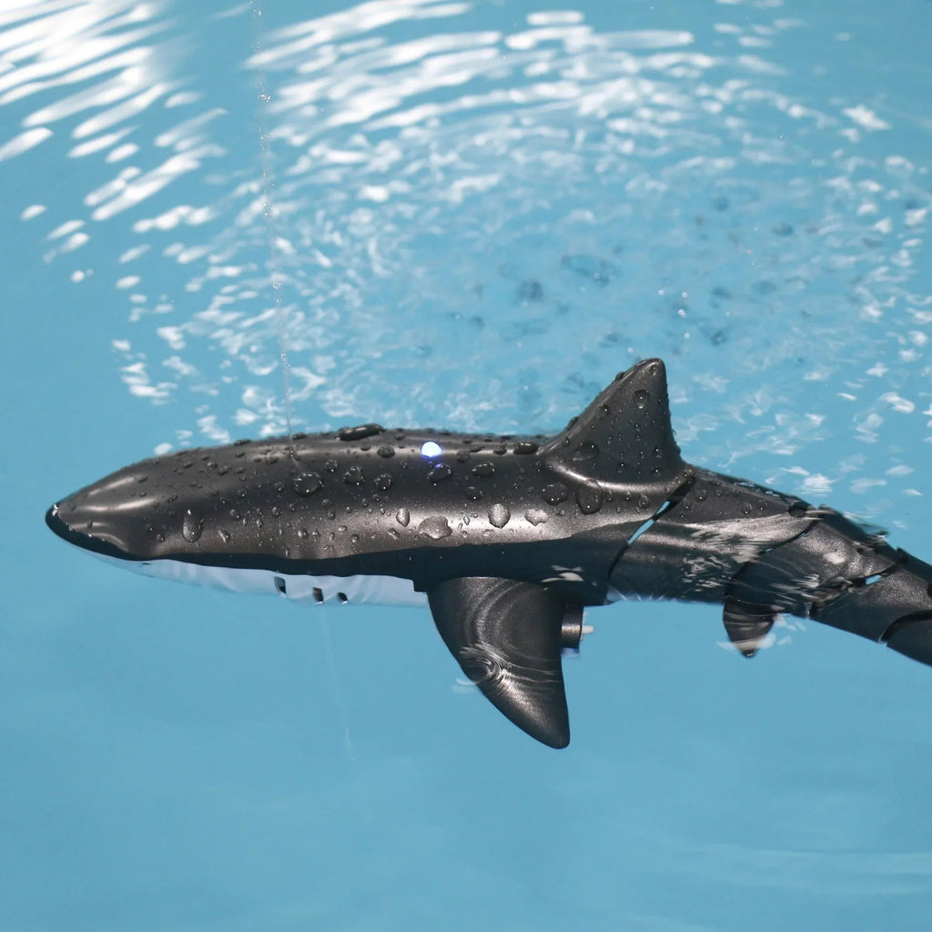 Remote Control Shark Adventure