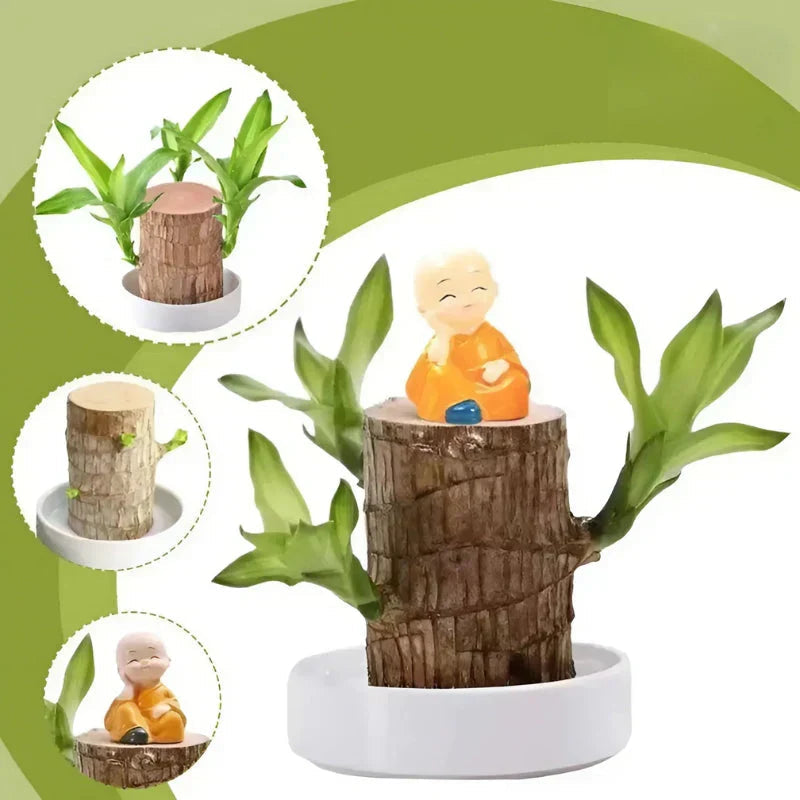 LuckyVerdant - Brazilian Wooden Pendant