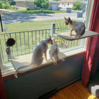 Foldable Window Hammock for Cats with View & Comfort