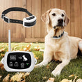 Wireless Invisible Underground Electric Dog Training Wire Fence Set