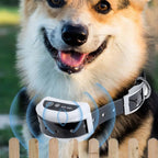 Wireless Invisible Underground Electric Dog Training Wire Fence Set