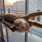 PAWPERCH – Foldable Window Hammock for Cats with View & Comfort