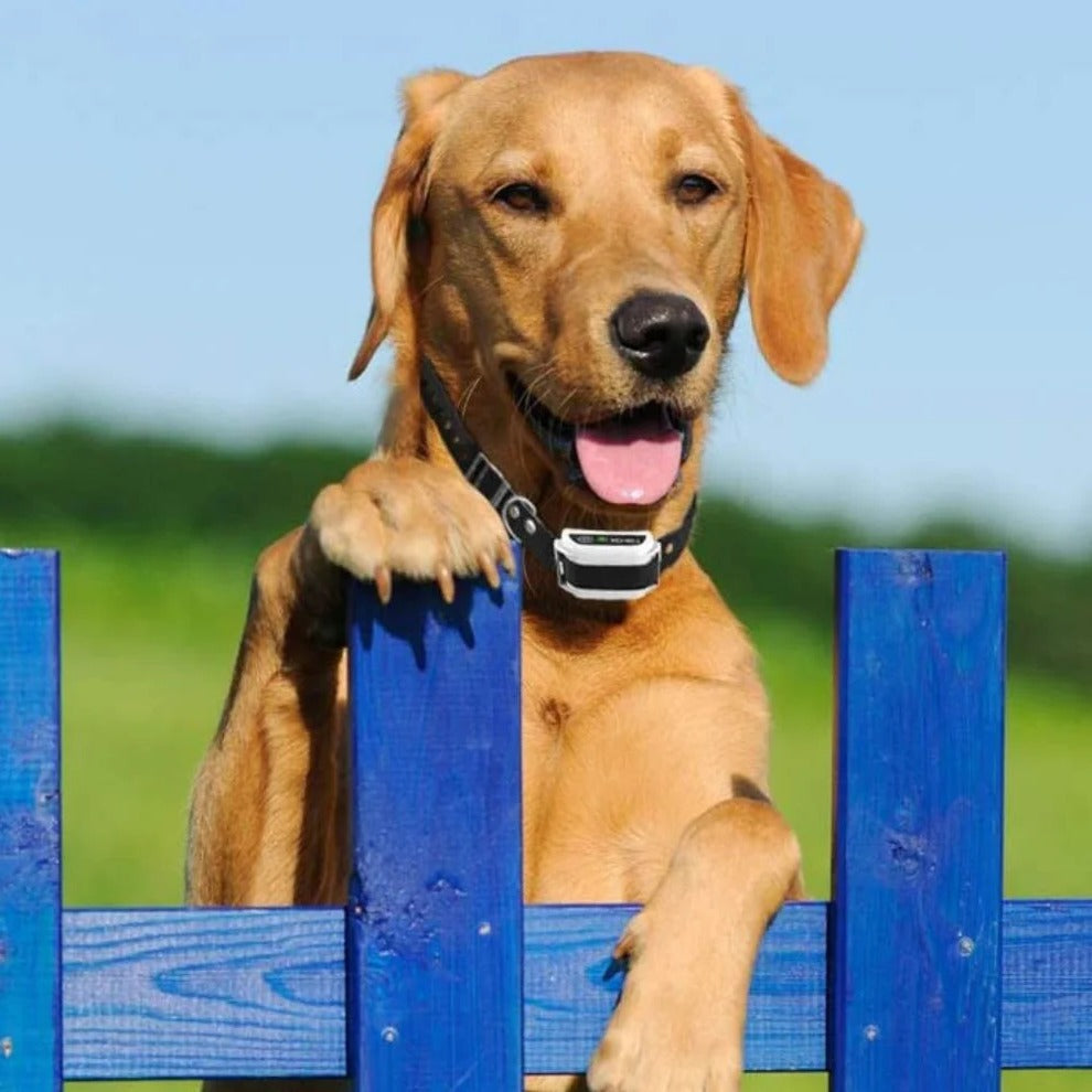Wireless Invisible Underground Electric Dog Training Wire Fence Set