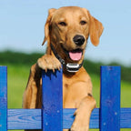 Wireless Invisible Underground Electric Dog Training Wire Fence Set