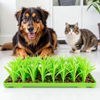 TidyFeast Pet-Friendly Meal Pad