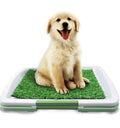 Dog Toilet with Artificial Turf