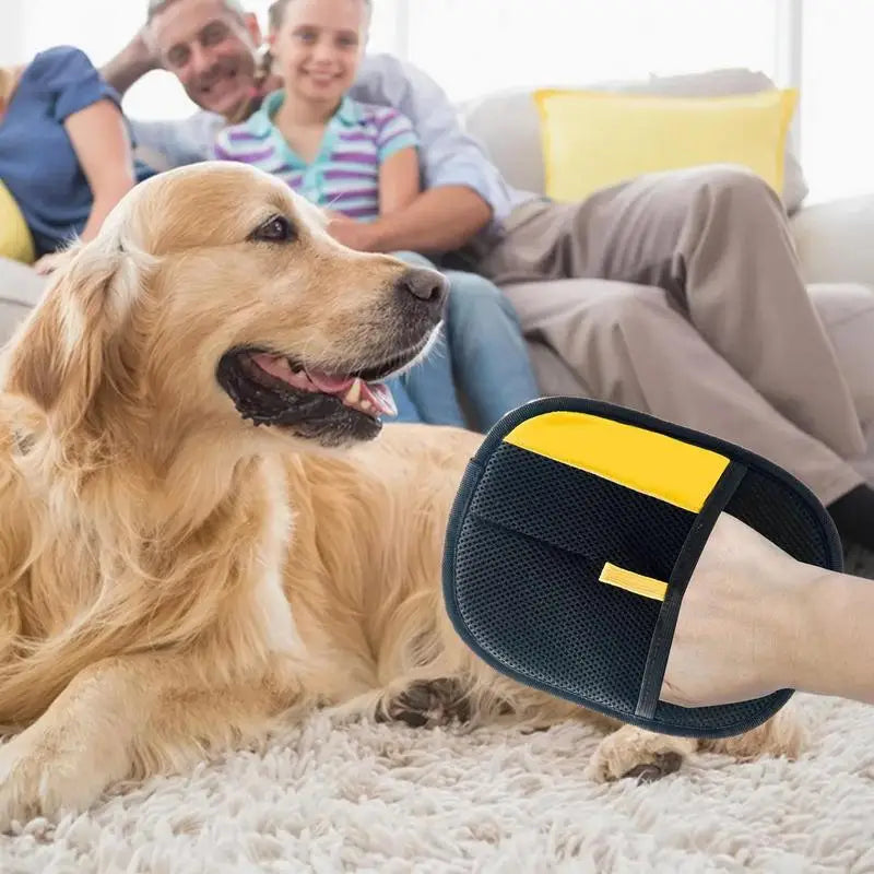 PurrBrush Care Glove – Hair-Free Pet Care and Massage Moment