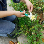 KneeComfort – Ergonomic Knee Protectors for Gardening & DIY