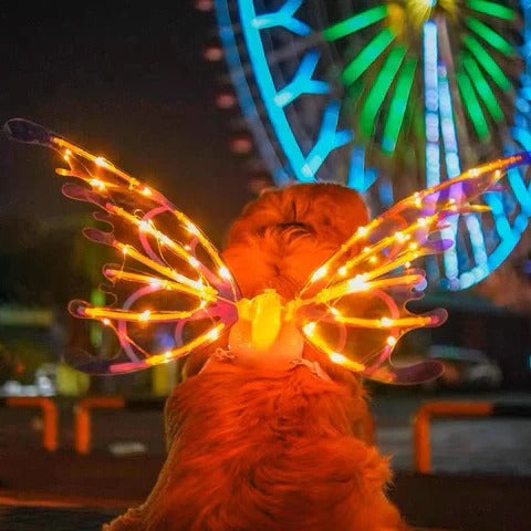 Electric Colorful Kids / Adults LED Fairy Wings Costume