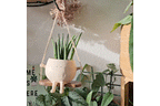 GreenOasis - Elegant Hanging Plant Basket for a Tranquil Atmosphere