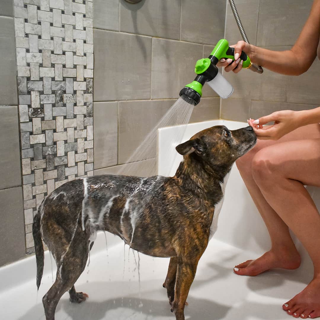 Pet Bath Spray with All-Around Spray Function