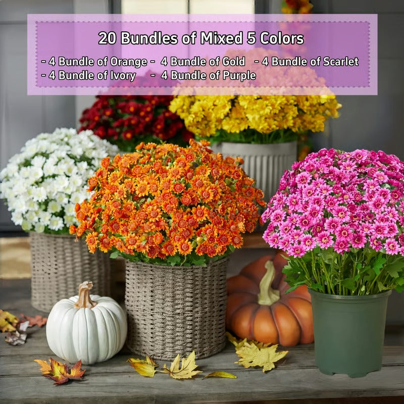 AutumnBlaze — Your worry-free garden hit with colors that enchant every autumn!