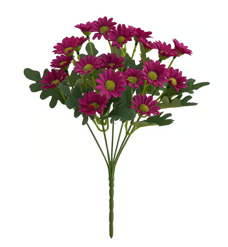 AutumnBlaze — Your worry-free garden hit with colors that enchant every autumn!