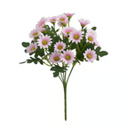 AutumnBlaze — Your worry-free garden hit with colors that enchant every autumn!