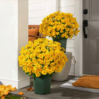 AutumnBlaze — Your worry-free garden hit with colors that enchant every autumn!