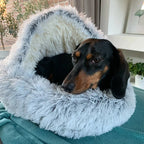 FurHaven - My dog loves it