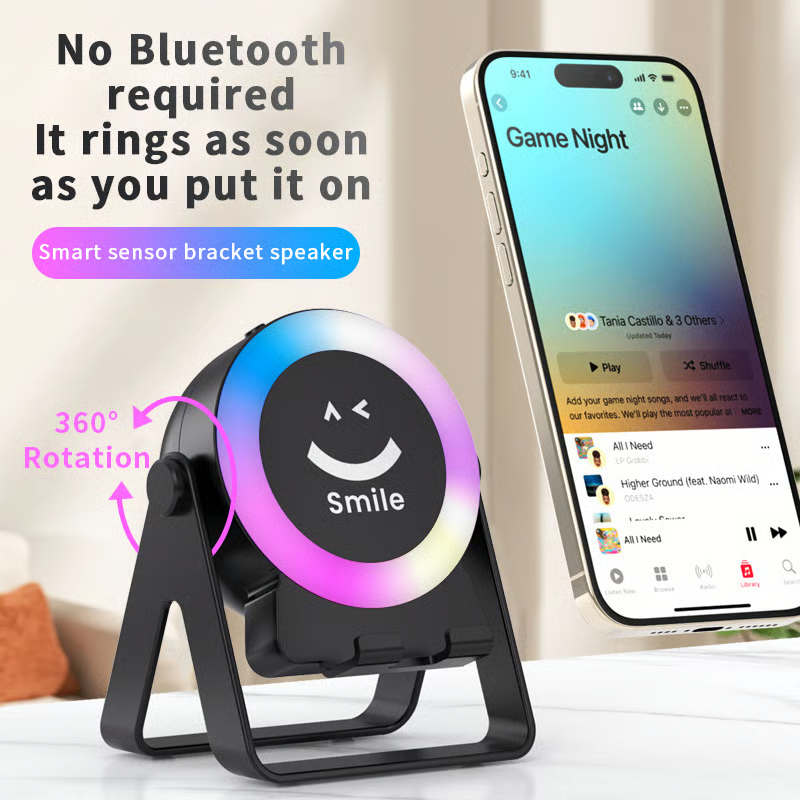 BassHold Portable Sound Support