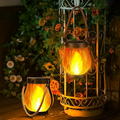 LumaSolar Illuminate Your Evenings