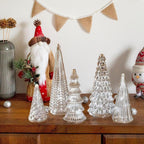 GlansPine LED Pine Set – 5-piece Silver Christmas Decoration with Warm Light