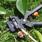 Professional Grafting & Pruning Tool