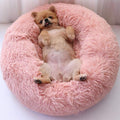 Milowa Soft Orthopedic Pet Bed for Cats and Dogs