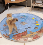 Interactive Cat Playmat - PurrPulse