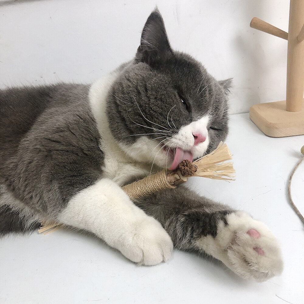 Interactive Chew Sticks for Cats - ChewPlay