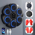 Interactive Smart Boxing Machine - PunchTech