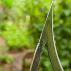 Garden hack - A perfect garden!