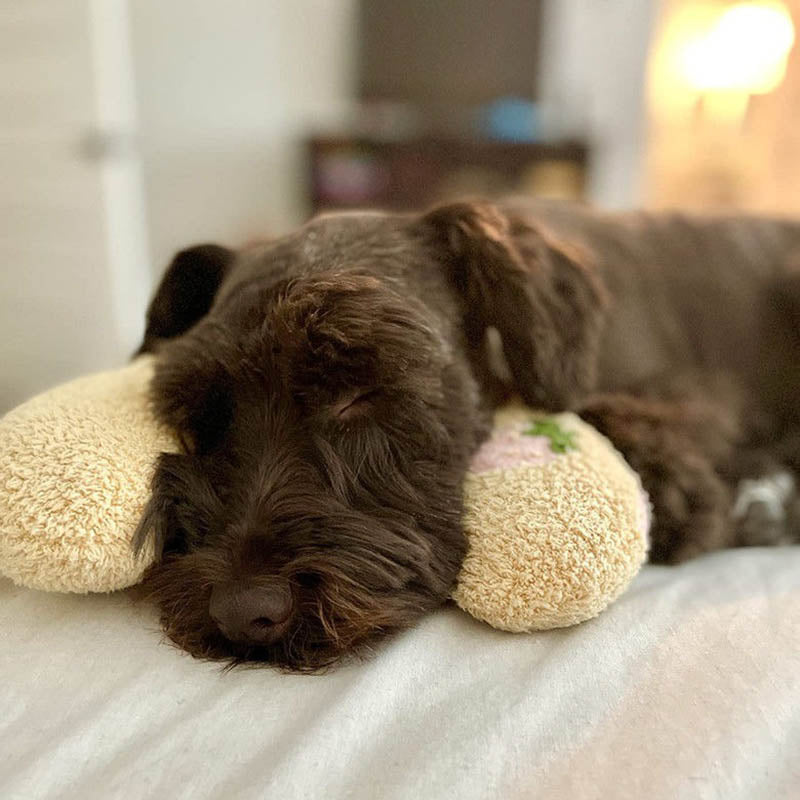 PetEase Luxe - Orthopedic Dog Bed for Comfort