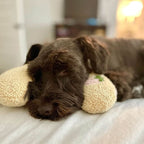 Orthopaedic dog cushion against stress & anxiety