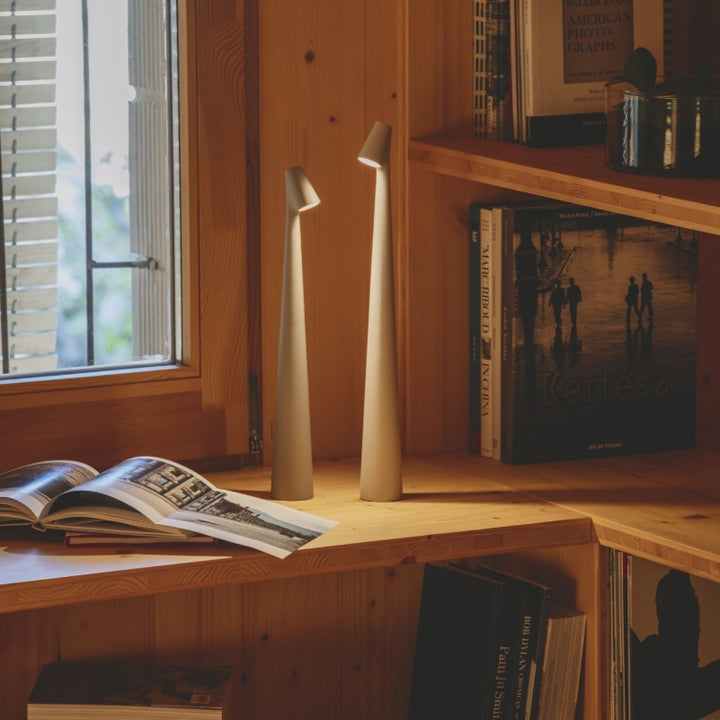 Sculpting table lamp